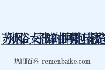 苏州风俗。女子出嫁时由阿舅抱上花轿造句是什么意思的图片